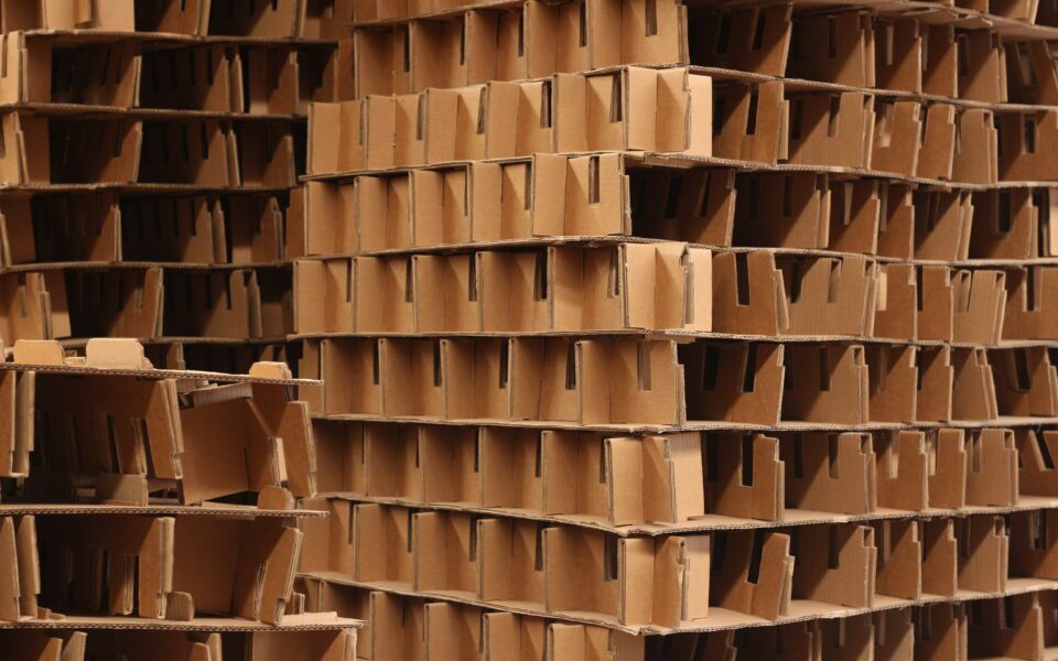 Divisores y Particiones