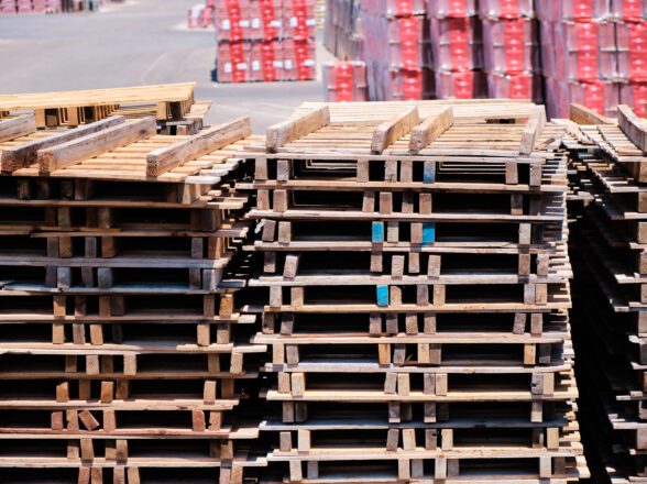 Pallets de madera